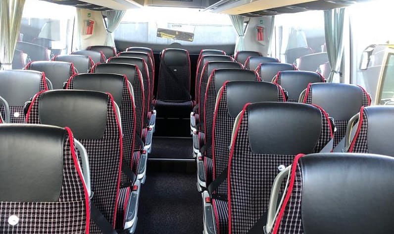 Germany: Coach booking in Baden-Württemberg in Baden-Württemberg and Sindelfingen