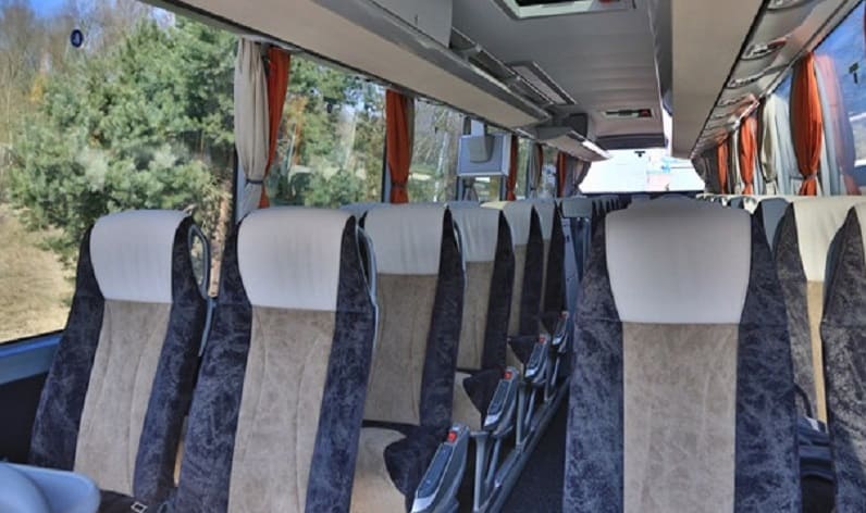 Germany: Coach charter in Baden-Württemberg in Baden-Württemberg and Ulm